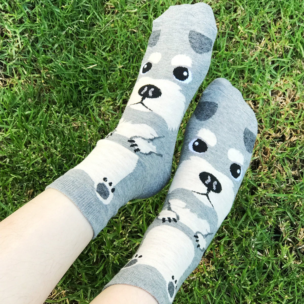 Wrapables Novelty Animal Print Crew Socks (Set of 5)