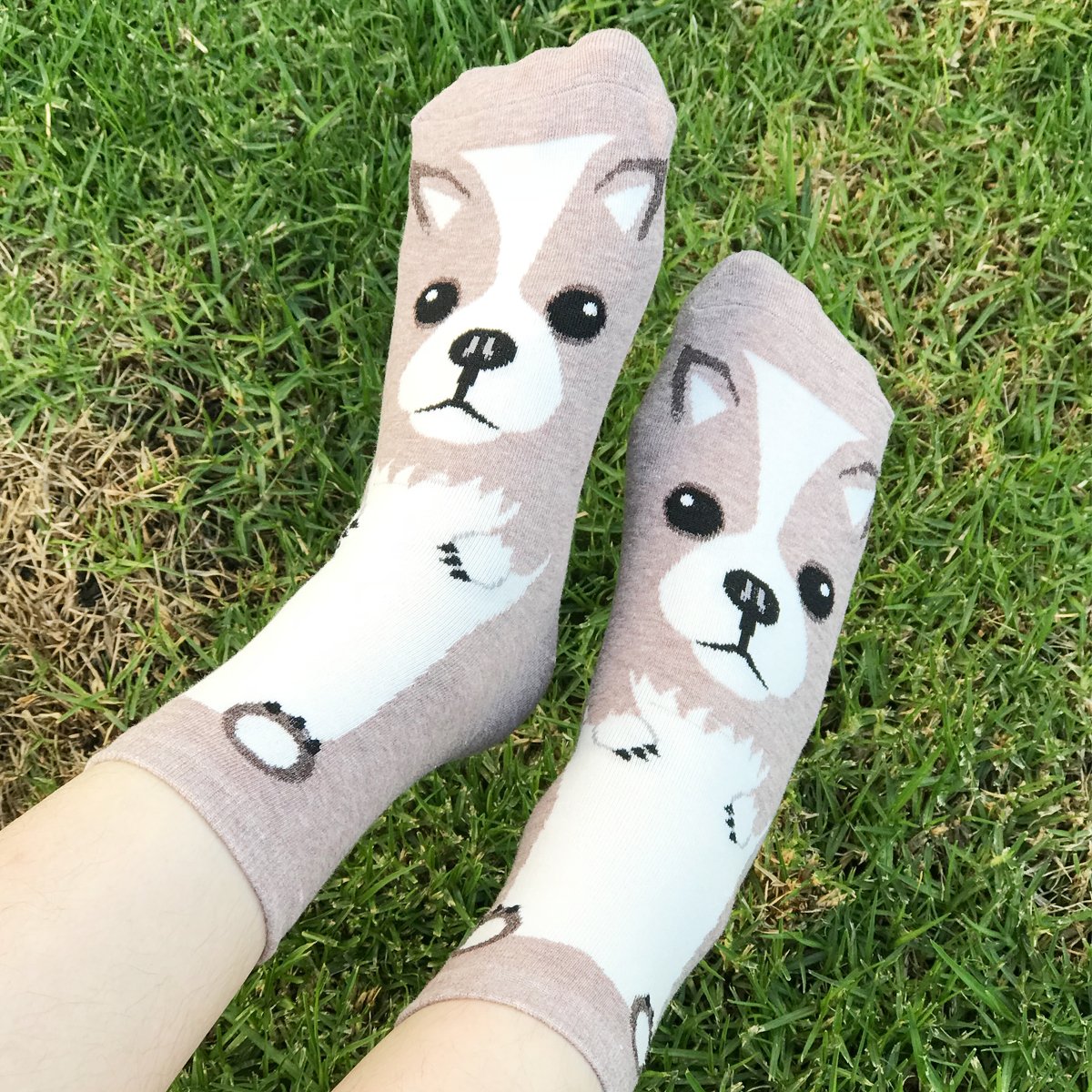 Wrapables Novelty Animal Print Crew Socks (Set of 5)