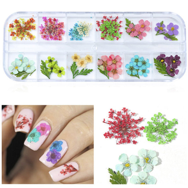Wrapables Real Dry Flowers Nail Art 3d Flower Nail Decals Nail Manicure with Plastic Case (Set of 12), Posies