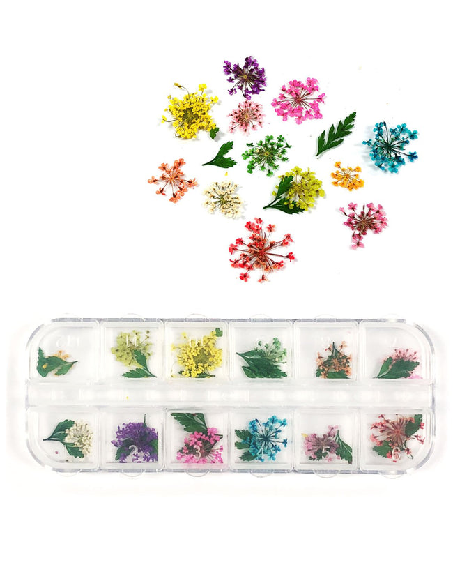 Wrapables Real Dry Flowers Nail Art 3d Flower Nail Decals Nail Manicure with Plastic Case (Set of 12), Sprig