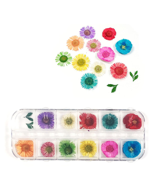 Wrapables Real Dry Flowers Nail Art 3d Flower Nail Decals Nail Manicure with Plastic Case (Set of 12), Daisies