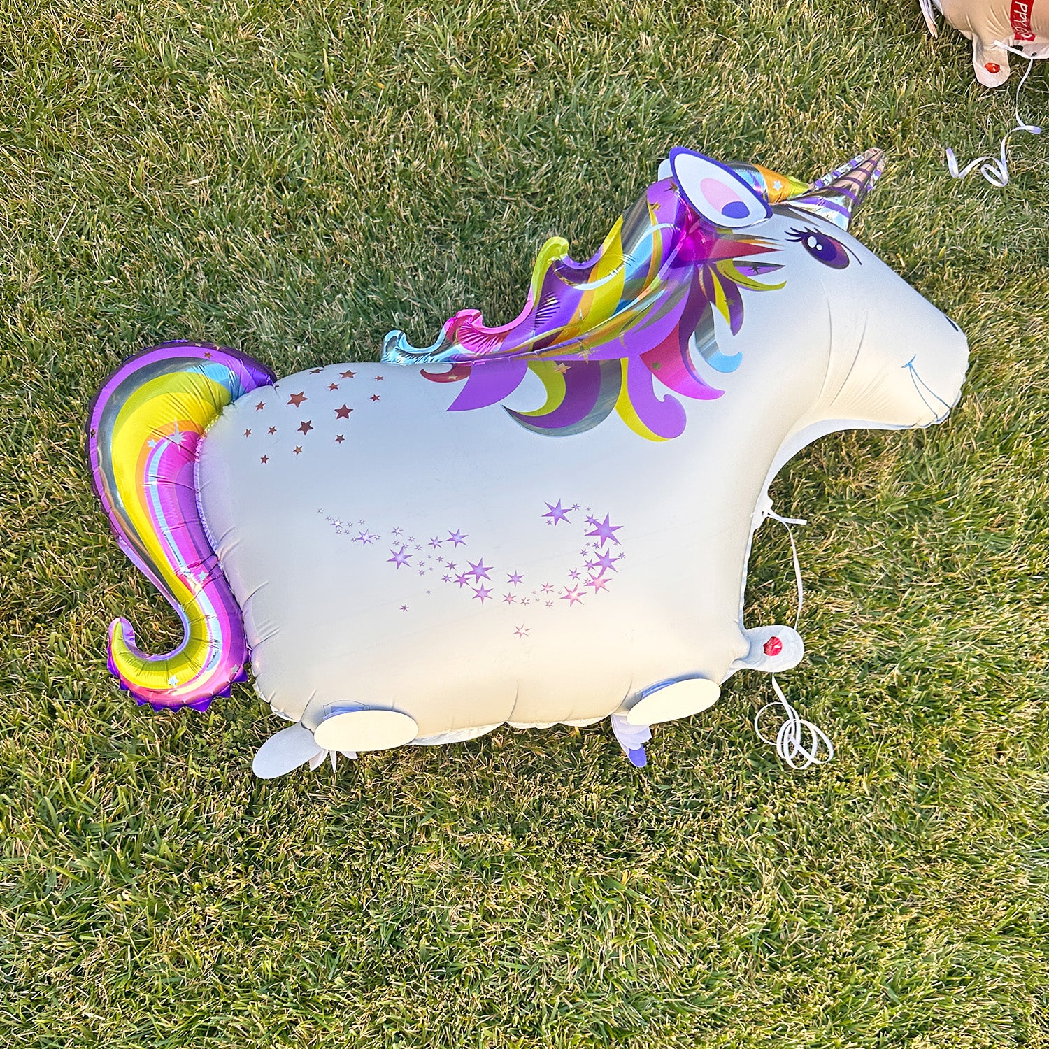 Wrapables Walking Animal Pet Balloon (Set of 3)