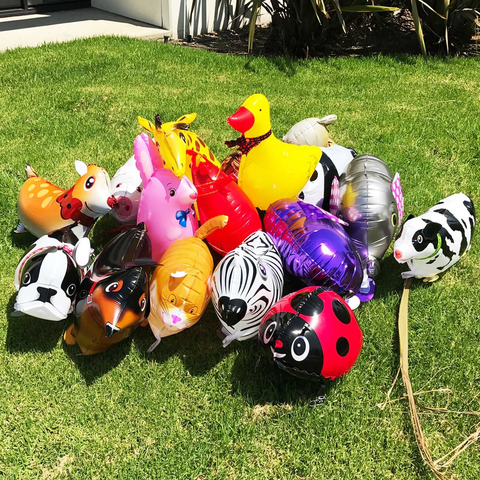 Wrapables Walking Animal Pet Balloon (Set of 3)