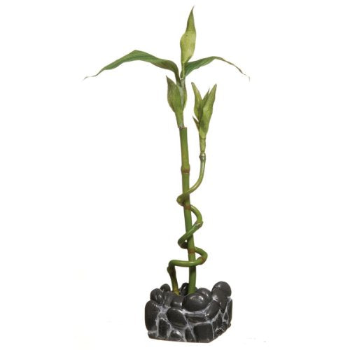 Asian Bamboo Plant Aquarium Decor