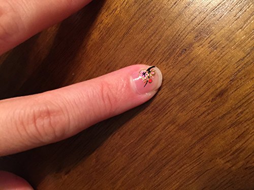 Wrapables Nail Art Nail Stickers - Asian Inspired Cherry Blossons (set of 6)