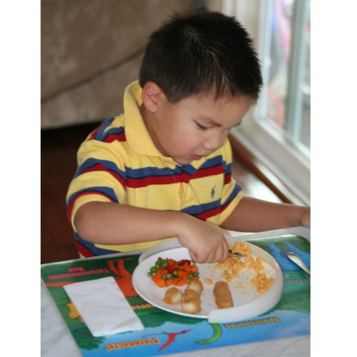 My Plate-Mate Spill Guard