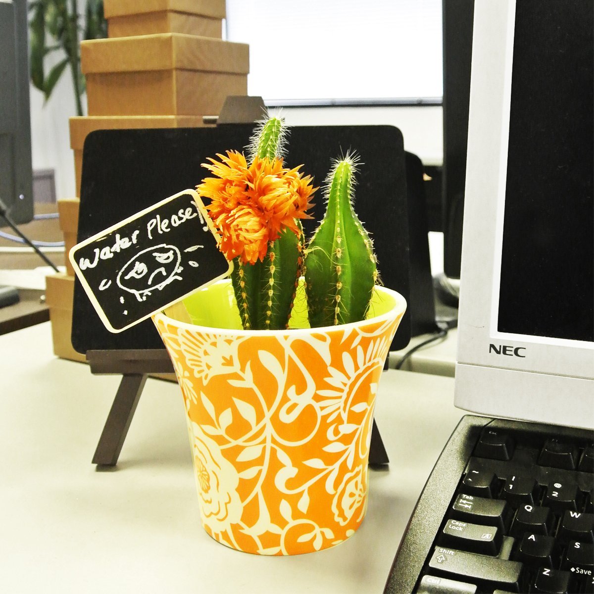 Wrapables Double Sided Mini Chalkboard (Set of 10)