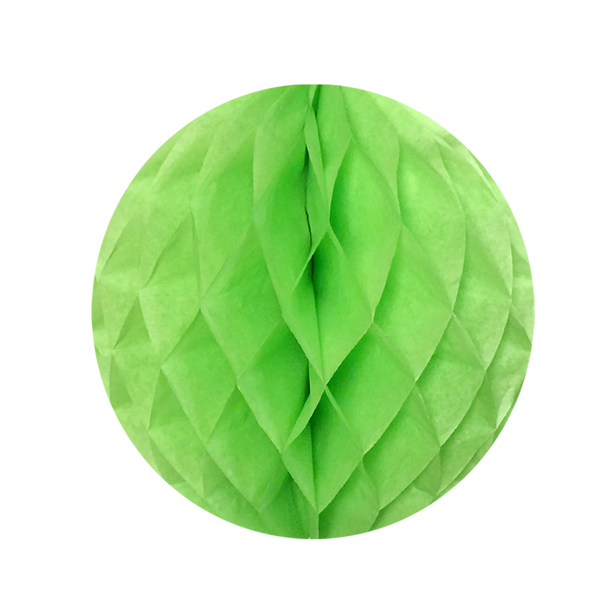 Wrapables 16" Set of 2 Tissue Honeycomb Ball Party Decorations