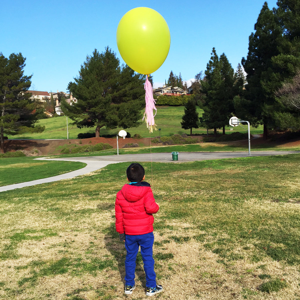 Wrapables Giant 36 Inch Latex Party Balloons (Set of 5)