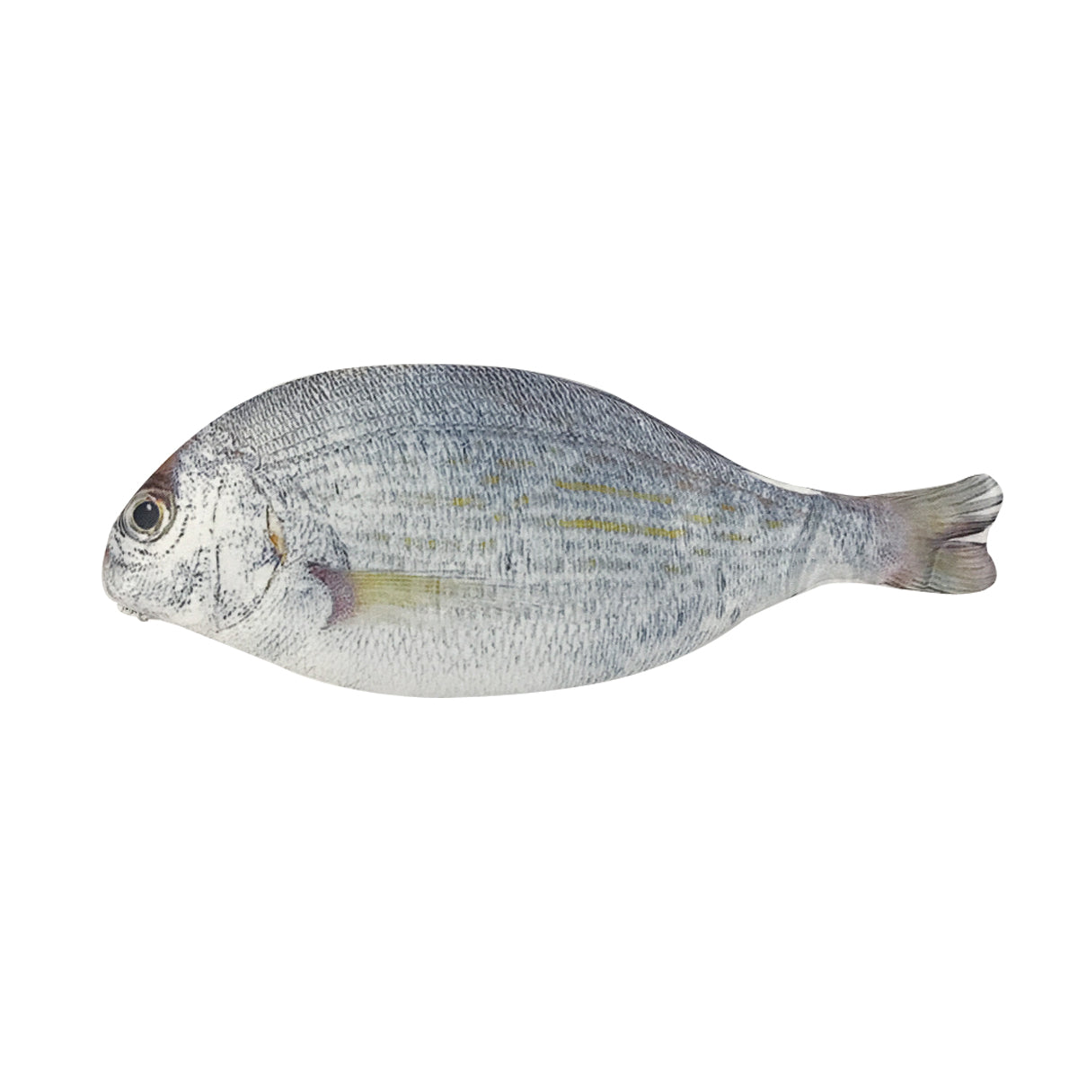 Wrapables Novelty Fish Style Pencil Case