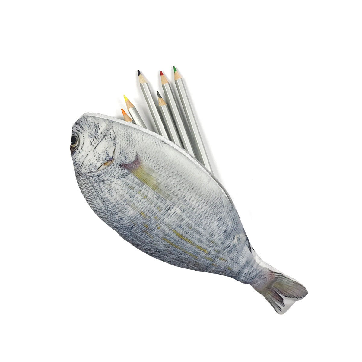 Wrapables Novelty Fish Style Pencil Case