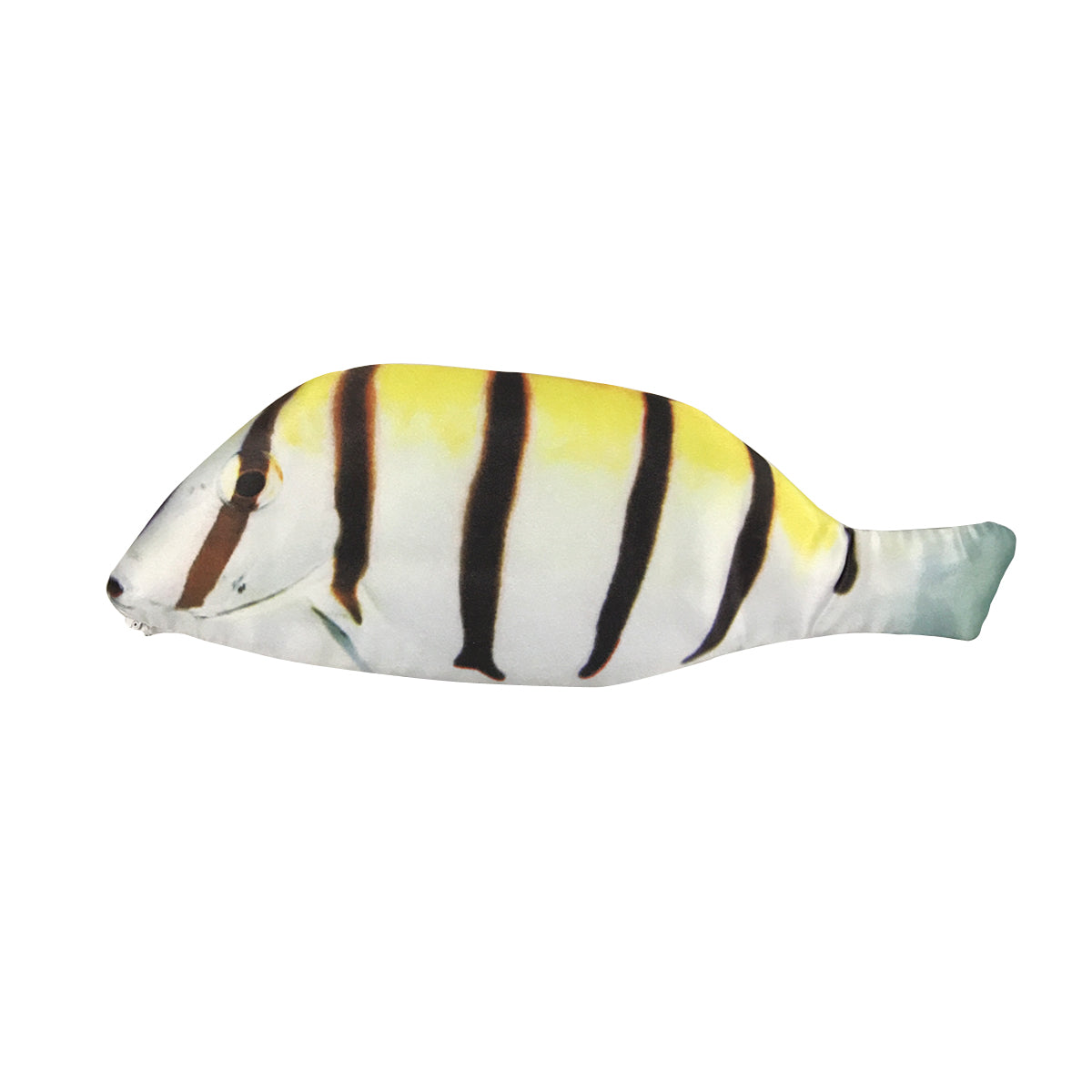 Wrapables Novelty Fish Style Pencil Case