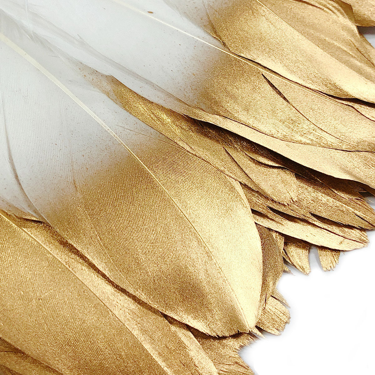 Wrapables Gold Dipped Feathers, Bohemian Decorations for Weddings, Parties, DIY Art Projects