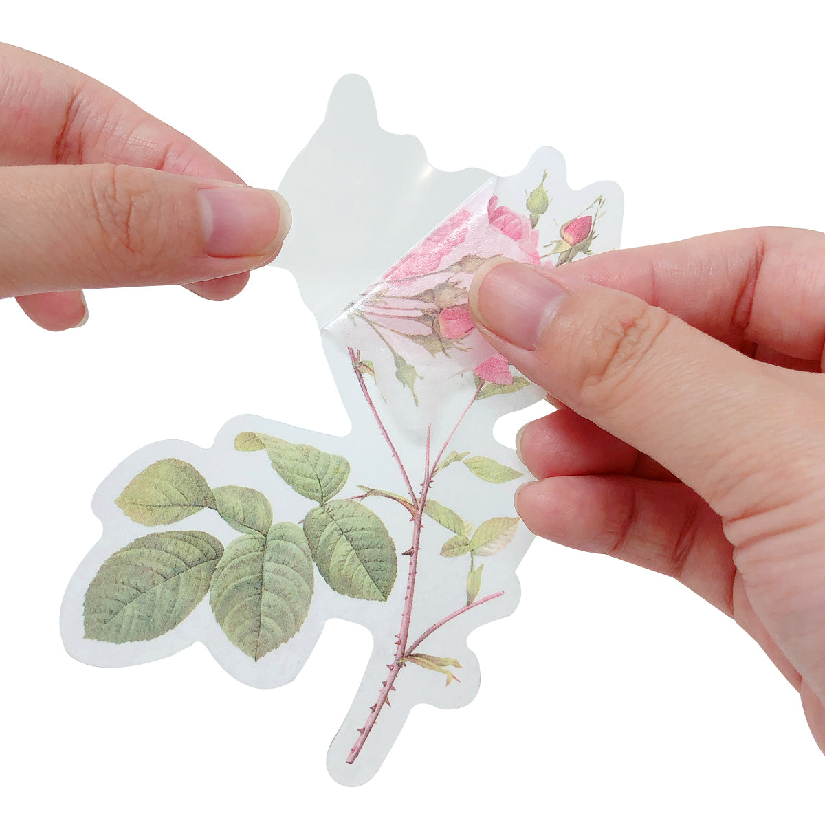 Wrapables Decorative Scrapbooking Washi Stickers, DIY Crafts for Stationery, Diary, Card Making (60 pcs)