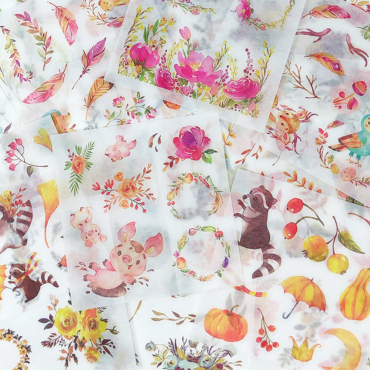 Wrapables Washi Scrapbooking Stickers Box Set
