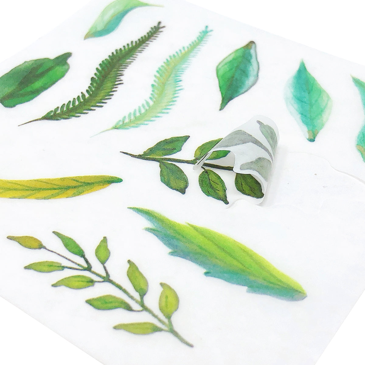 Wrapables Washi Scrapbooking Stickers Box Set