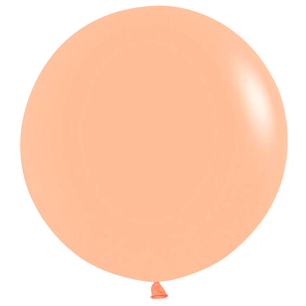 Wrapables 18 Inch Latex Balloons (10 Pack)