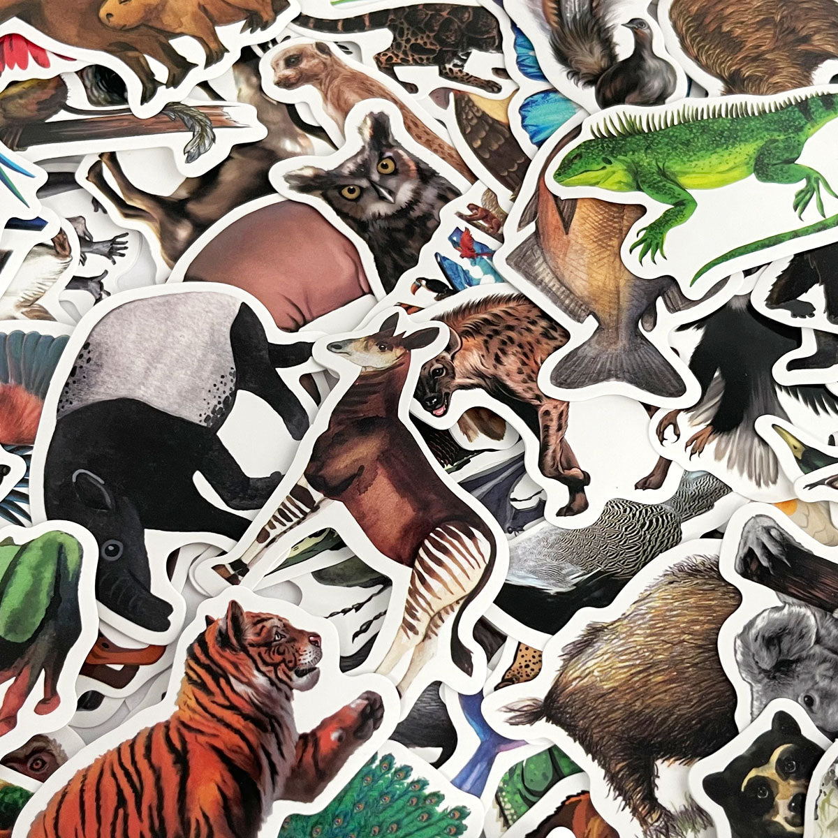 Wrapables Waterproof Vinyl Stickers for Water Bottles, Laptop, Phones, Skateboards, Decals for Teens