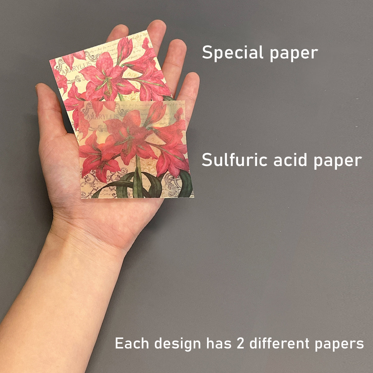 Wrapables Decorative Scrapbook Paper for Journals, Scrapbooking, Stationery, Arts & Crafts Projects (Set of 2)