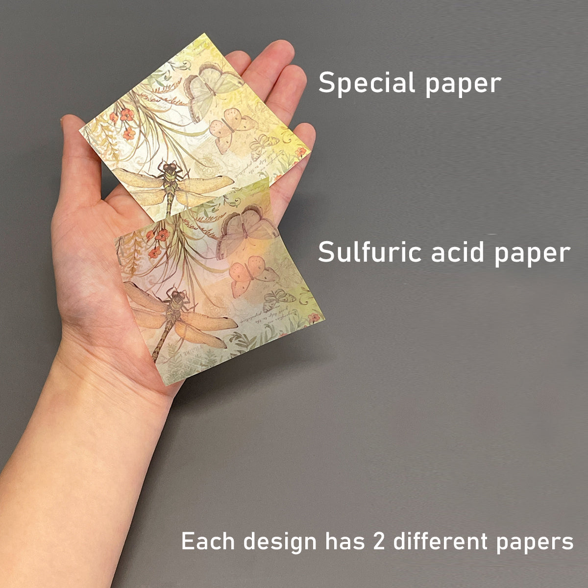 Wrapables Decorative Scrapbook Paper for Journals, Scrapbooking, Stationery, Arts & Crafts Projects (Set of 2)