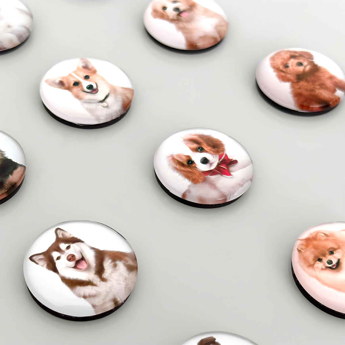 Wrapables Crystal Glass Magnets, Refrigerator Magnets for Office Whiteboards, Cabinets, Lockers (Set of 12)