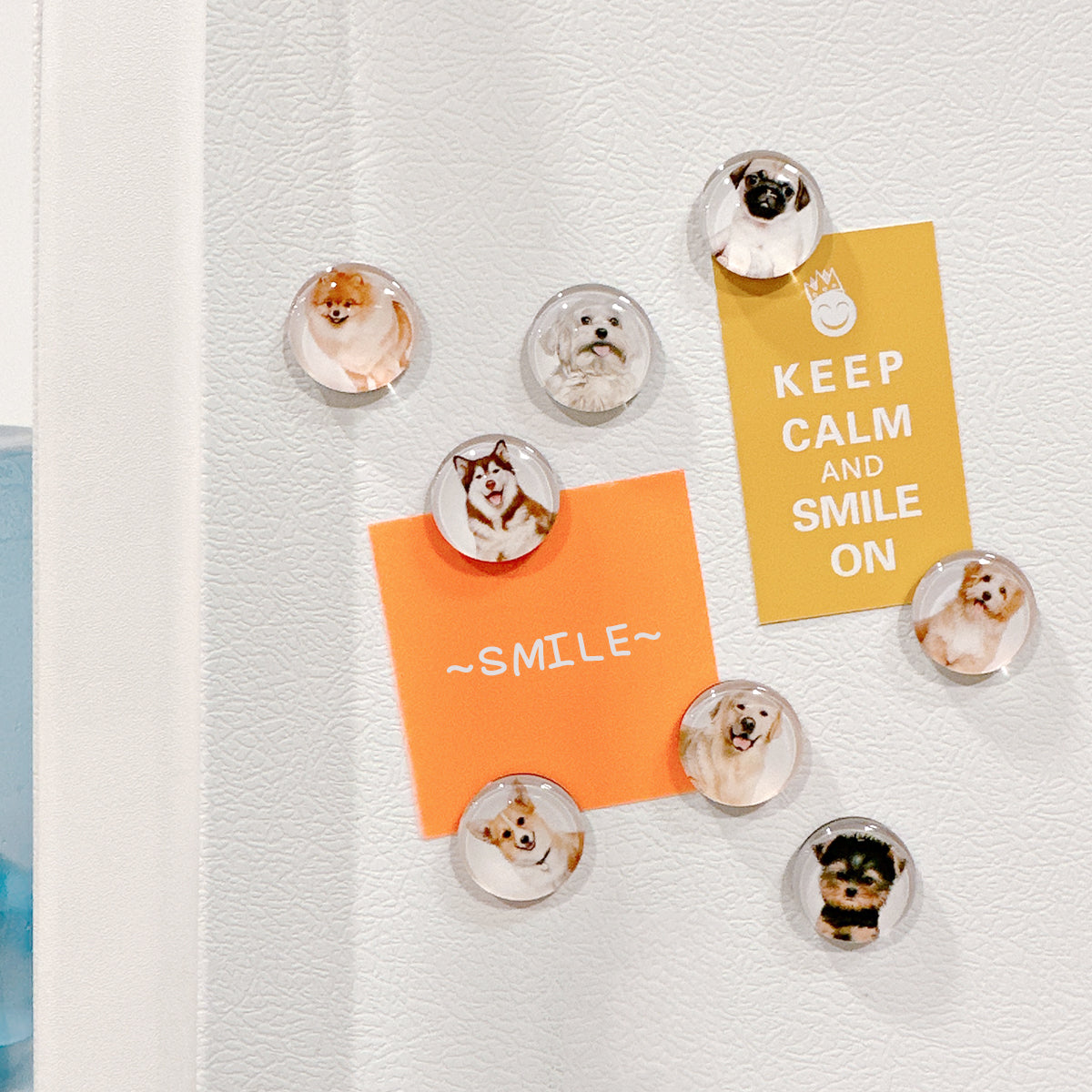 Wrapables Crystal Glass Magnets, Refrigerator Magnets for Office Whiteboards, Cabinets, Lockers (Set of 12)