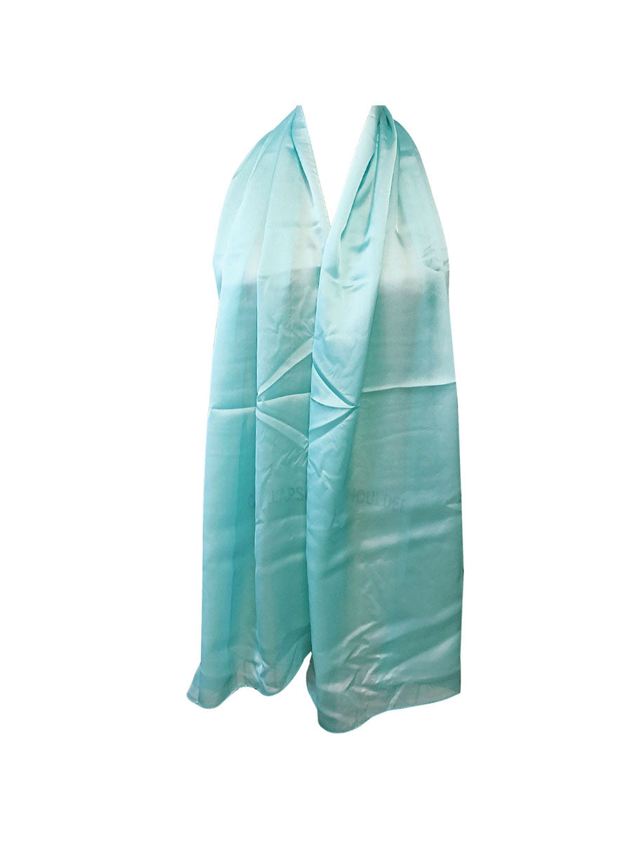 Wrapables Lightweight Silky Satin Solid Colored Scarf (Set of 2), Power Blue and Olive