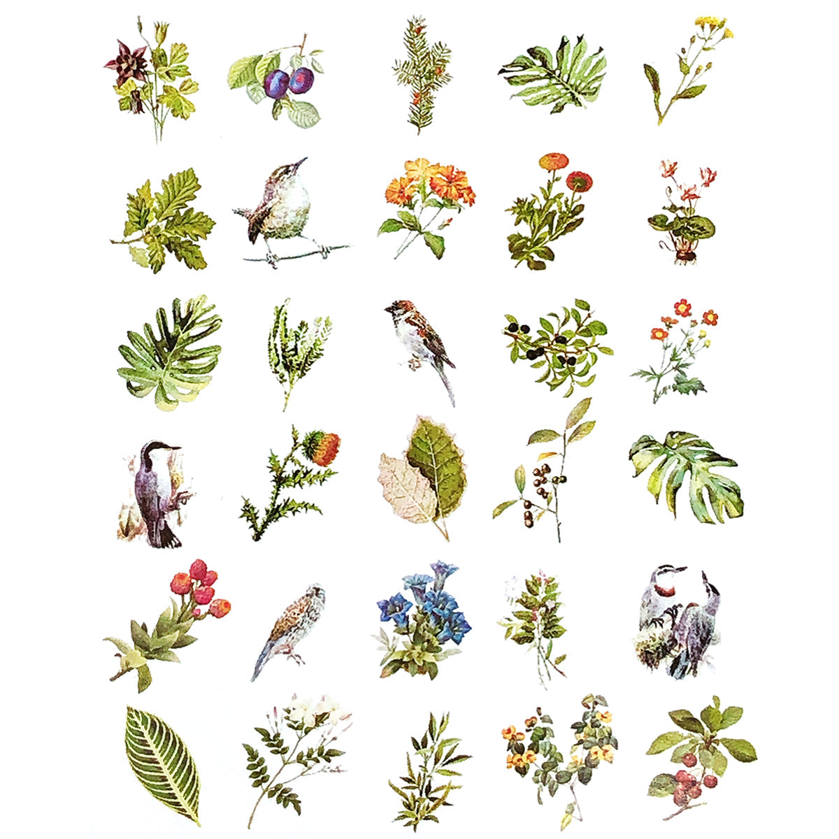 Wrapables Decorative Scrapbooking Washi Stickers, DIY Crafts for Stationery, Diary, Card Making (60 pcs), Nature Leaves