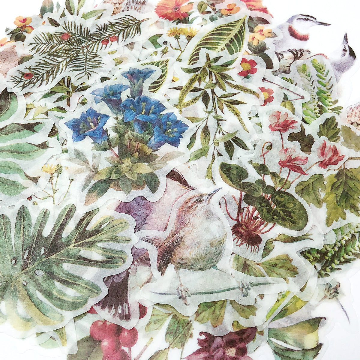 Wrapables Decorative Scrapbooking Washi Stickers, DIY Crafts for Stationery, Diary, Card Making (60 pcs), Nature Leaves