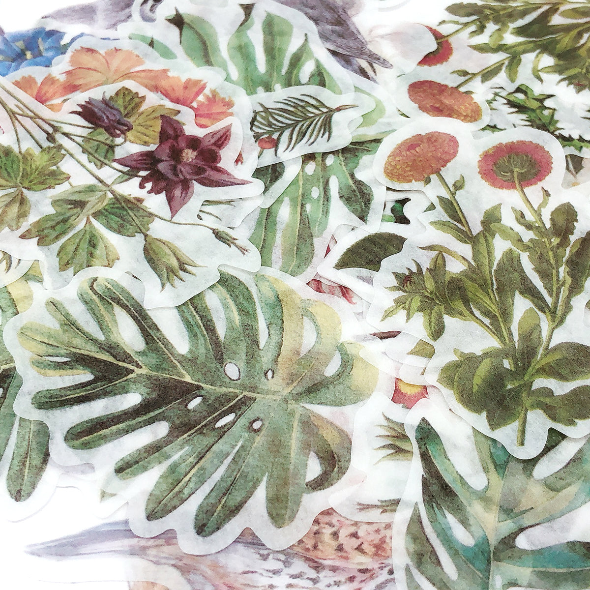 Wrapables Decorative Scrapbooking Washi Stickers, DIY Crafts for Stationery, Diary, Card Making (60 pcs), Nature Leaves