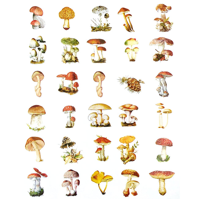 Wrapables Decorative Scrapbooking Washi Stickers, DIY Crafts for Stationery, Diary, Card Making (60 pcs), Mushrooms