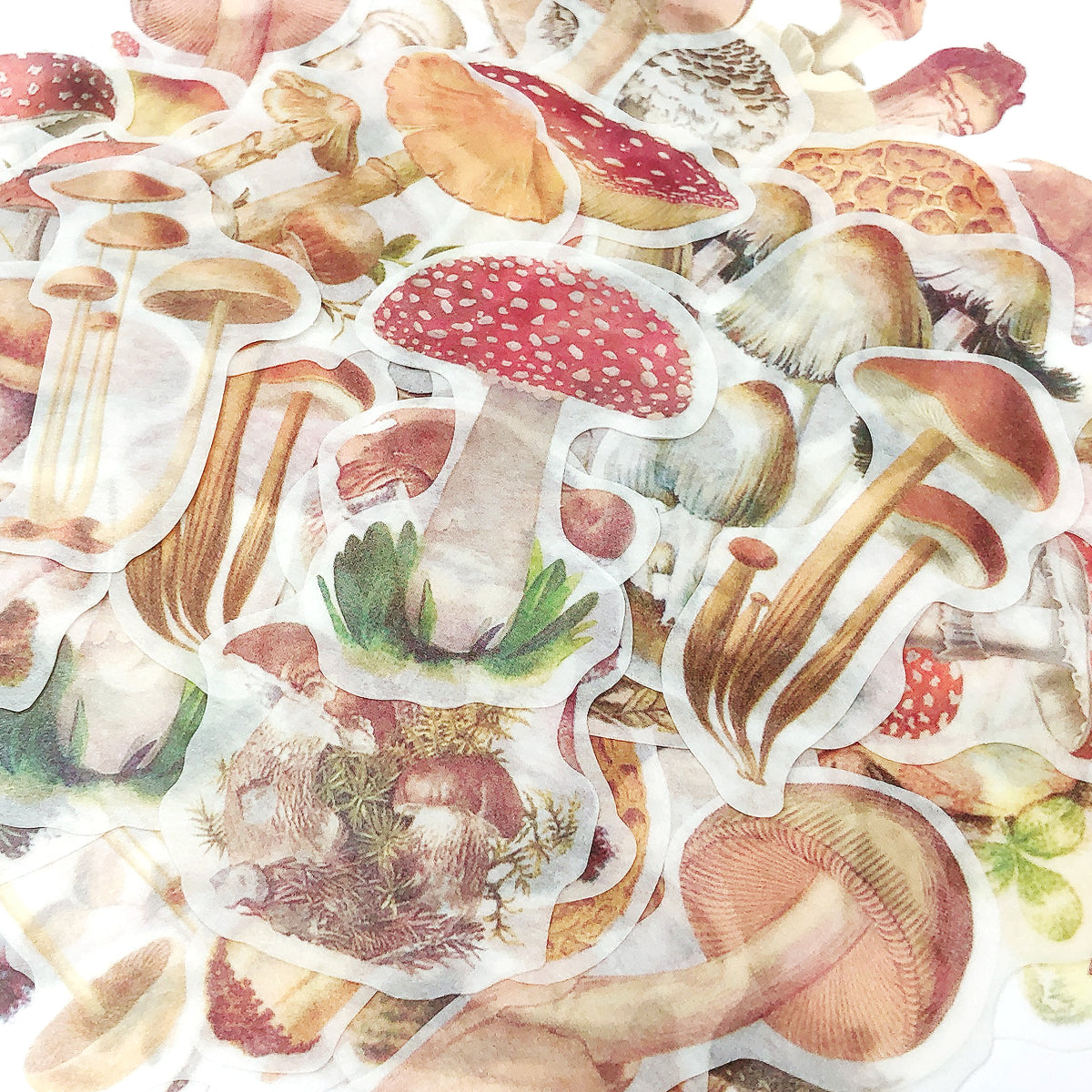 Wrapables Decorative Scrapbooking Washi Stickers, DIY Crafts for Stationery, Diary, Card Making (60 pcs), Mushrooms