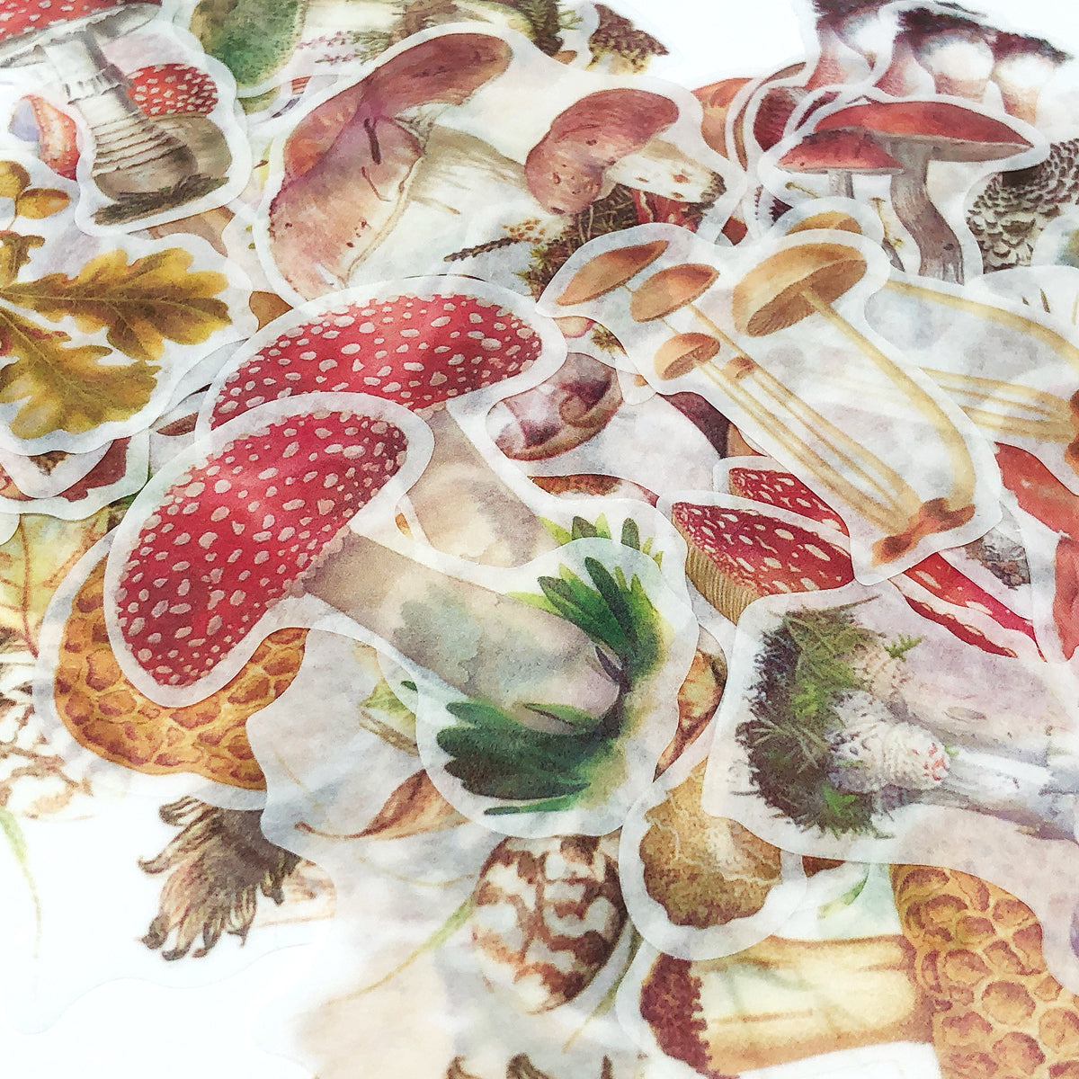 Wrapables Decorative Scrapbooking Washi Stickers, DIY Crafts for Stationery, Diary, Card Making (60 pcs), Mushrooms