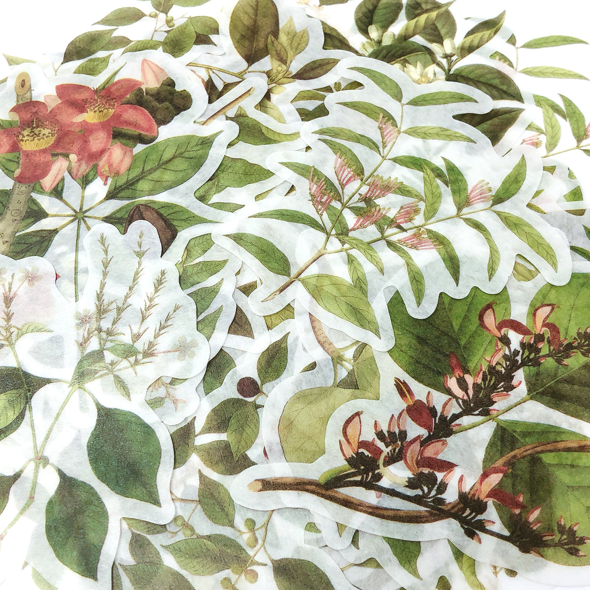 Wrapables Decorative Scrapbooking Washi Stickers, DIY Crafts for Stationery, Diary, Card Making (60 pcs), Greenery