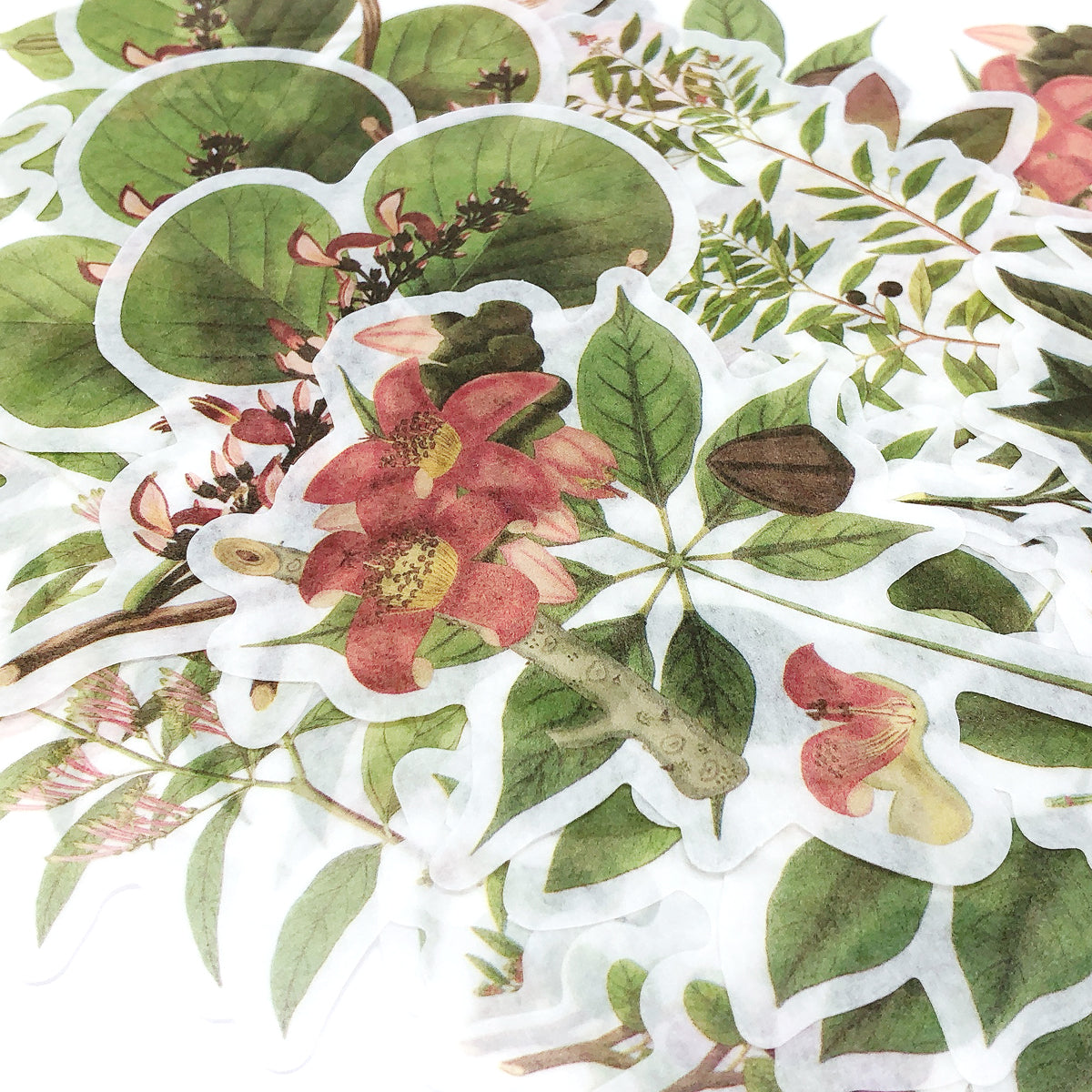 Wrapables Decorative Scrapbooking Washi Stickers, DIY Crafts for Stationery, Diary, Card Making (60 pcs), Greenery