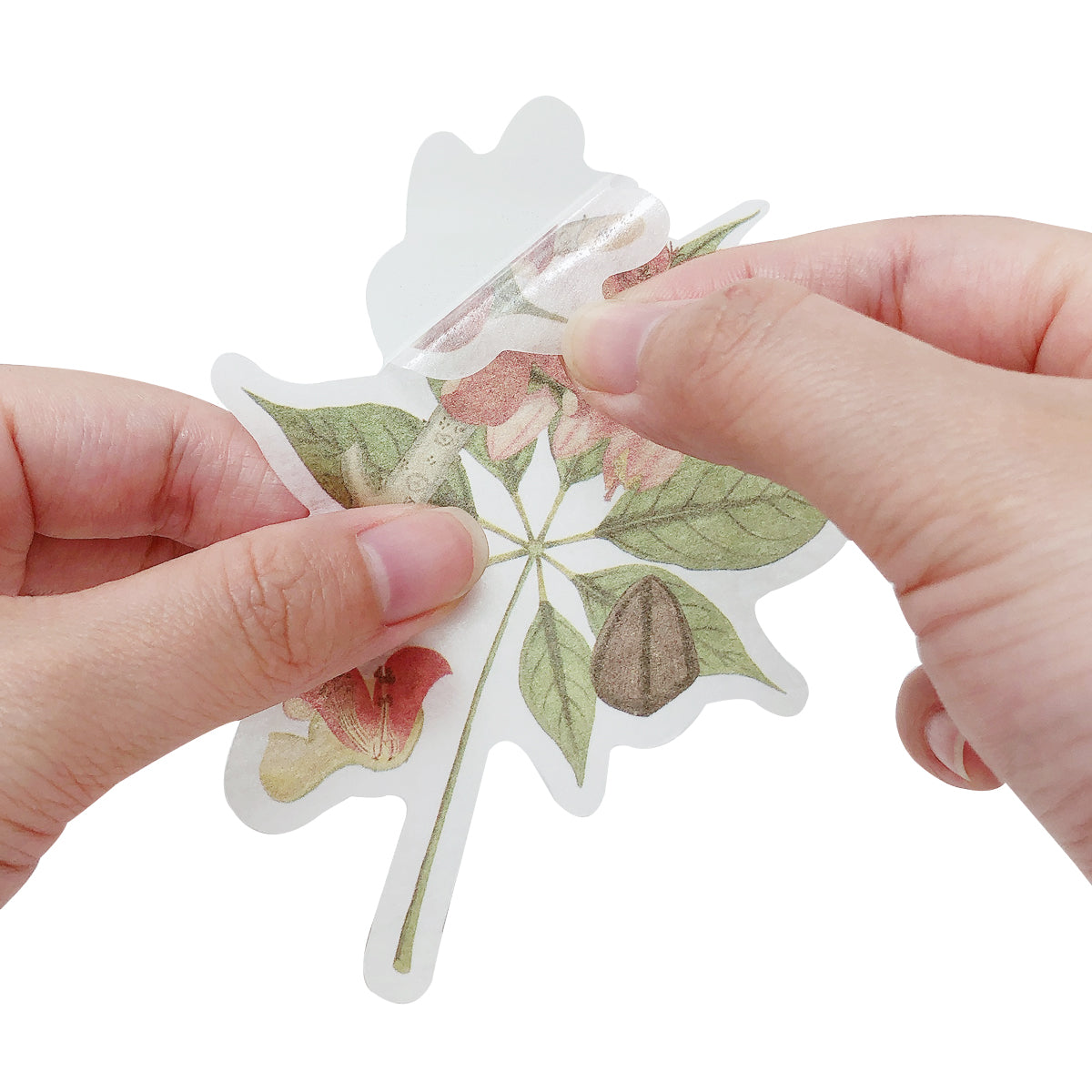 Wrapables Decorative Scrapbooking Washi Stickers, DIY Crafts for Stationery, Diary, Card Making (60 pcs), Greenery