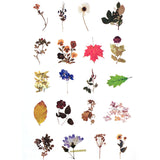 Wrapables Decorative Scrapbooking Washi Stickers, DIY Crafts for Stationery, Diary, Card Making (60 pcs), Posies