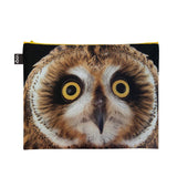 LOQI National Geographic Recycled Zip Pockets, Set of 3, Owls, Butterflies, Penguins