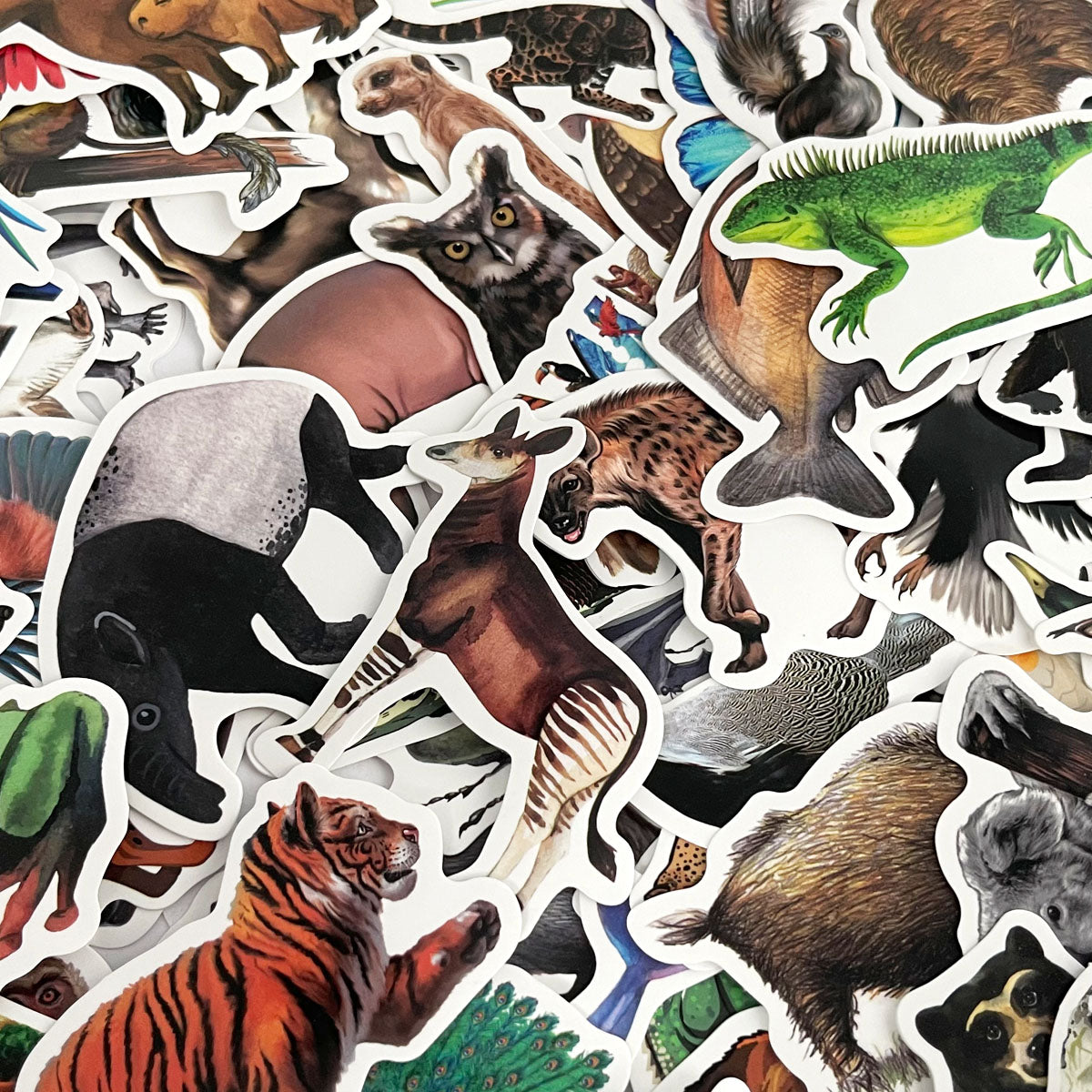 Wrapables Waterproof Vinyl Stickers for Water Bottles, Laptop, Phones, Skateboards, Decals for Teens, 80pcs, Safari Animals