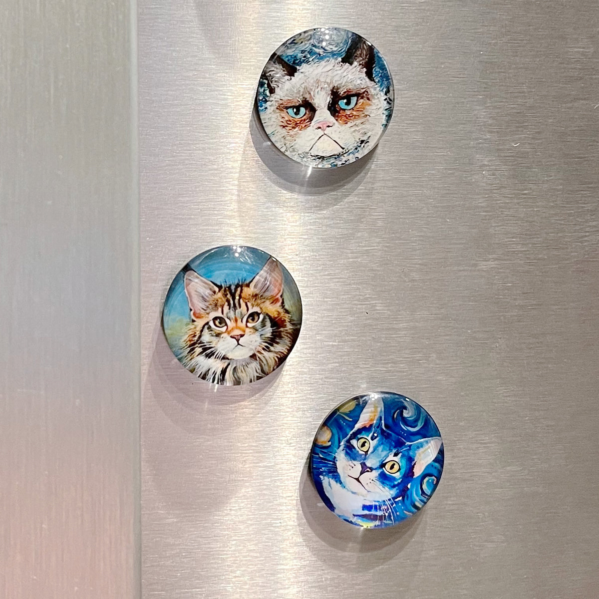 Wrapables Crystal Glass Magnets, Refrigerator Magnets for Office Whiteboards, Cabinets, Lockers (Set of 12), Cats