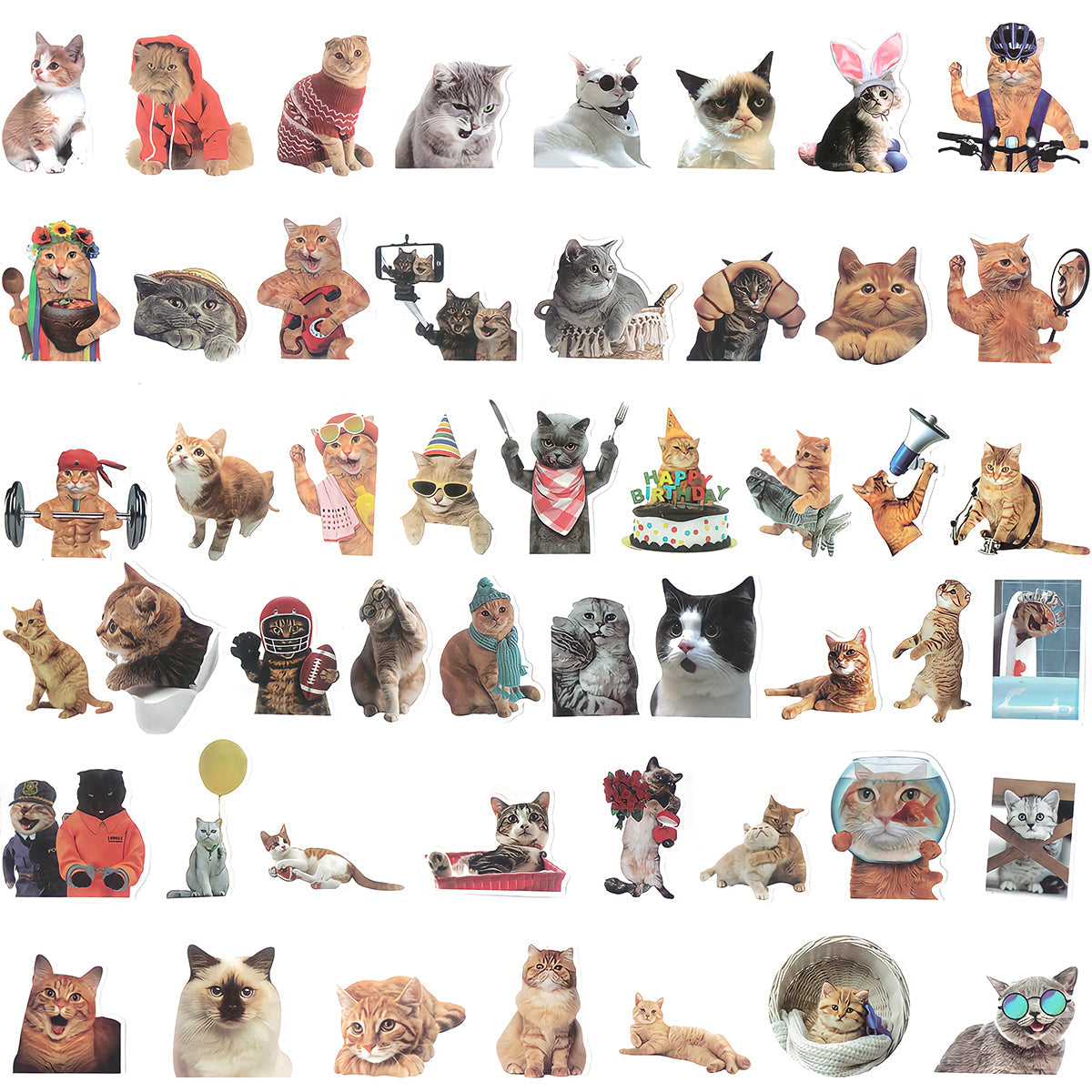 Wrapables Waterproof Vinyl Stickers for Water Bottles, Laptop, Phones, Skateboards, Decals for Teens, 100pcs, Funny Felines