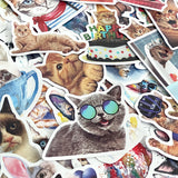 Wrapables Waterproof Vinyl Stickers for Water Bottles, Laptop, Phones, Skateboards, Decals for Teens, 100pcs, Funny Felines