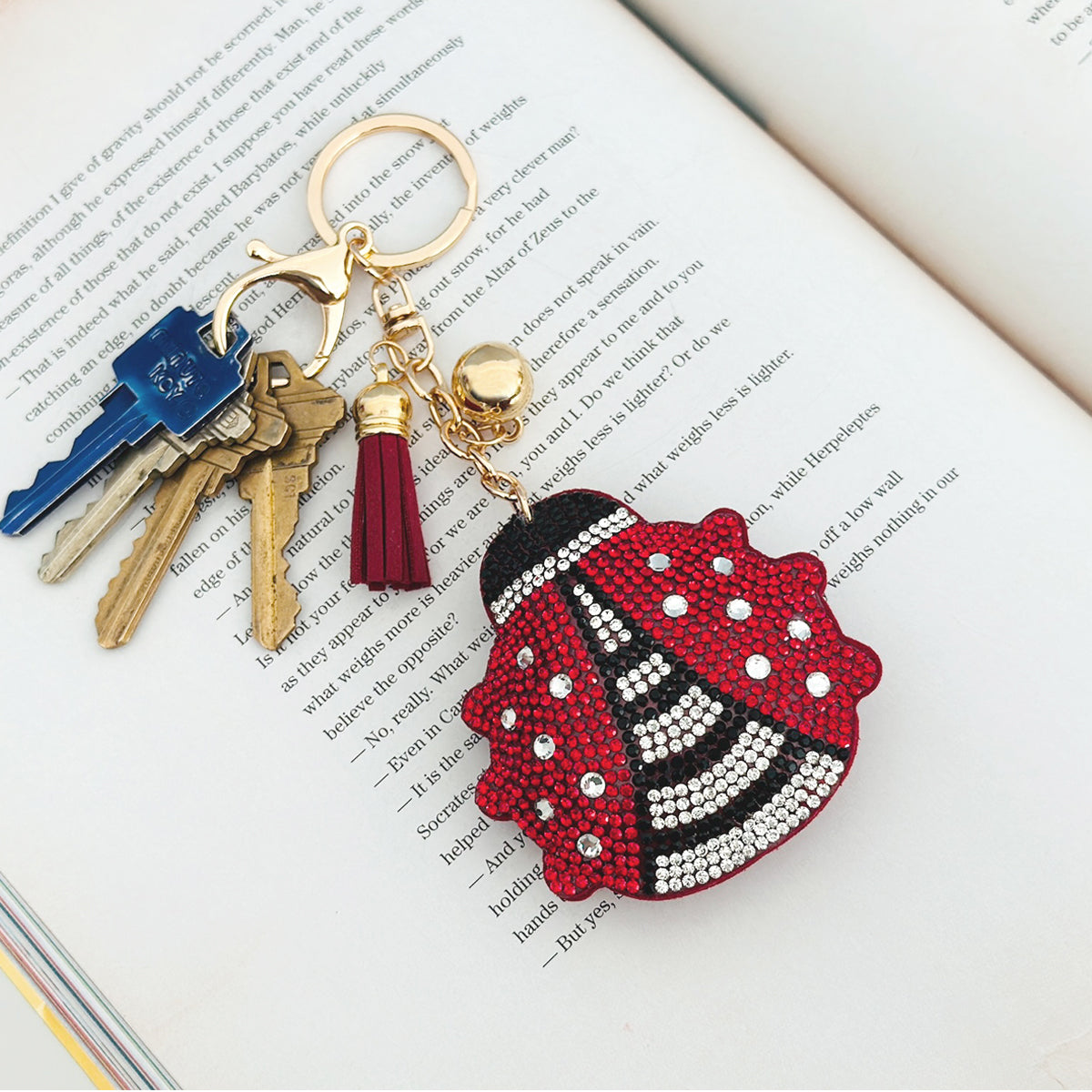 Wrapables Crystal Bling Key Chain Keyring with Tassel Car Purse Handbag Pendant, Ladybug