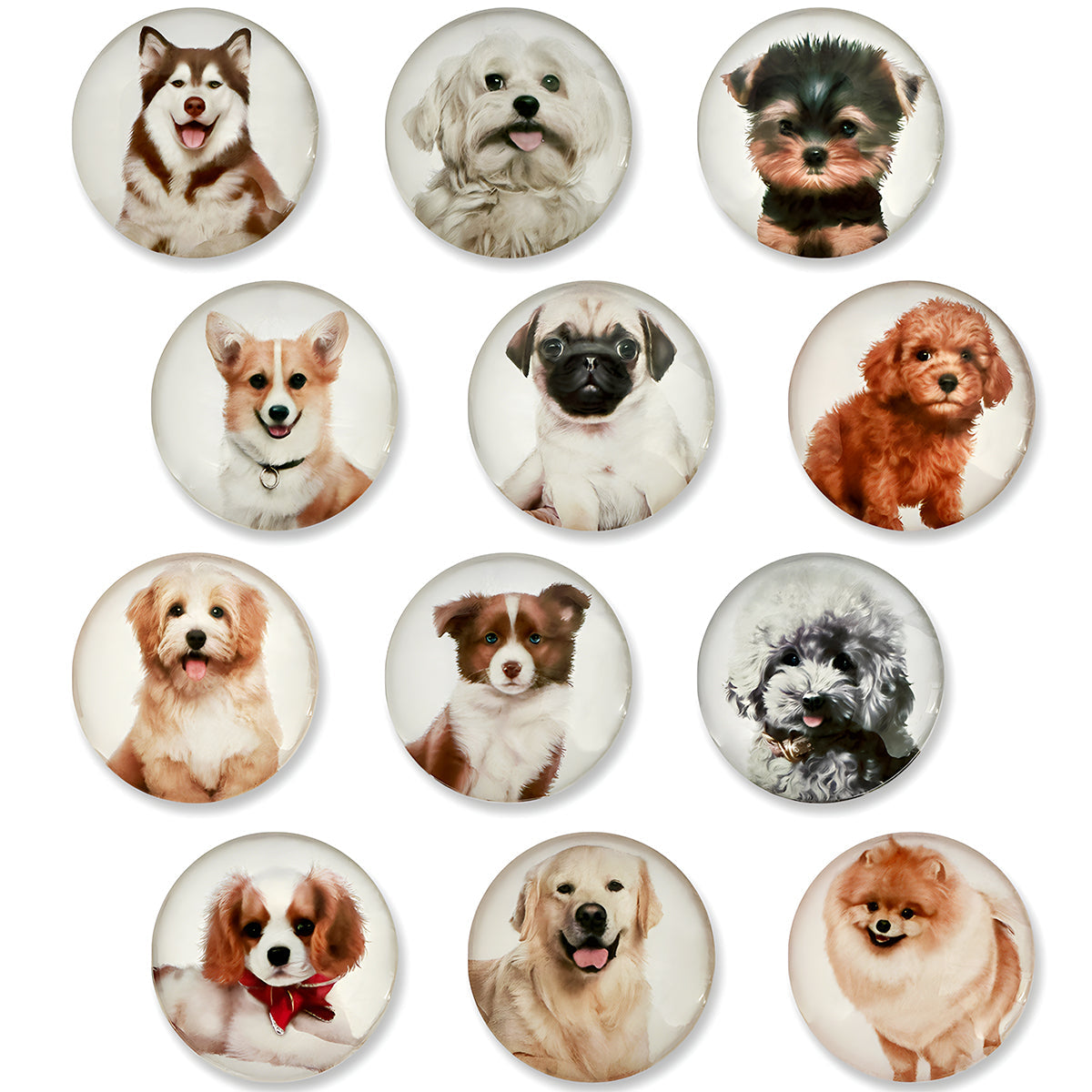 Wrapables Crystal Glass Magnets, Refrigerator Magnets for Office Whiteboards, Cabinets, Lockers (Set of 12), Dogs