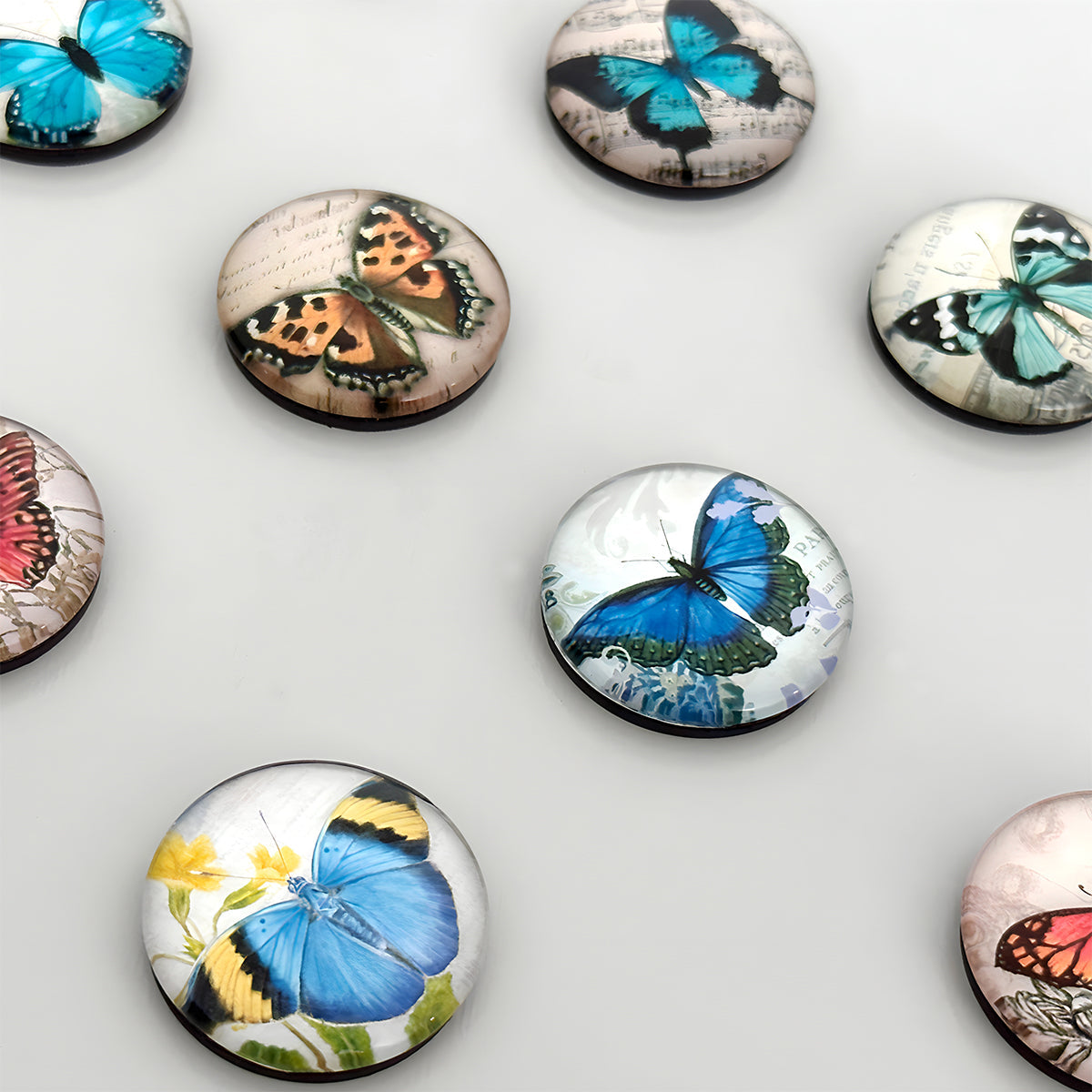 Wrapables Crystal Glass Magnets, Refrigerator Magnets for Office Whiteboards, Cabinets, Lockers (Set of 12), Butterflies