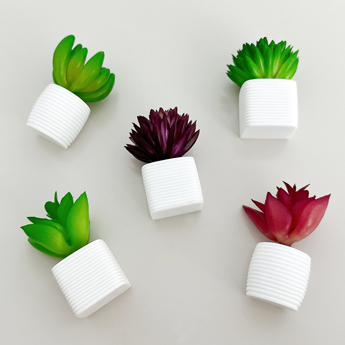 succulent fridge magnets Wrapables 3D Resin Fridge Magnets, Succulents Refrigerator Magnets for Kitchen (Set of 5), Succulent