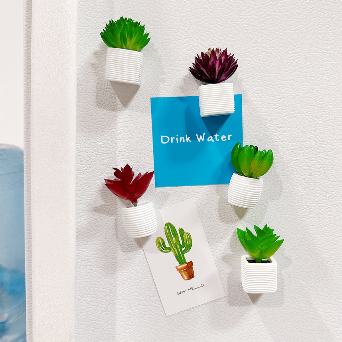 Wrapables 3D Resin Fridge Magnets, Succulents Refrigerator Magnets for Kitchen (Set of 5), Succulent