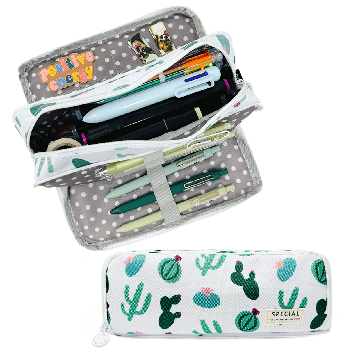 Wrapables Large Capacity Pencil Case, 3 Compartment Pencil Pouch for Stationery Pens, Cactus