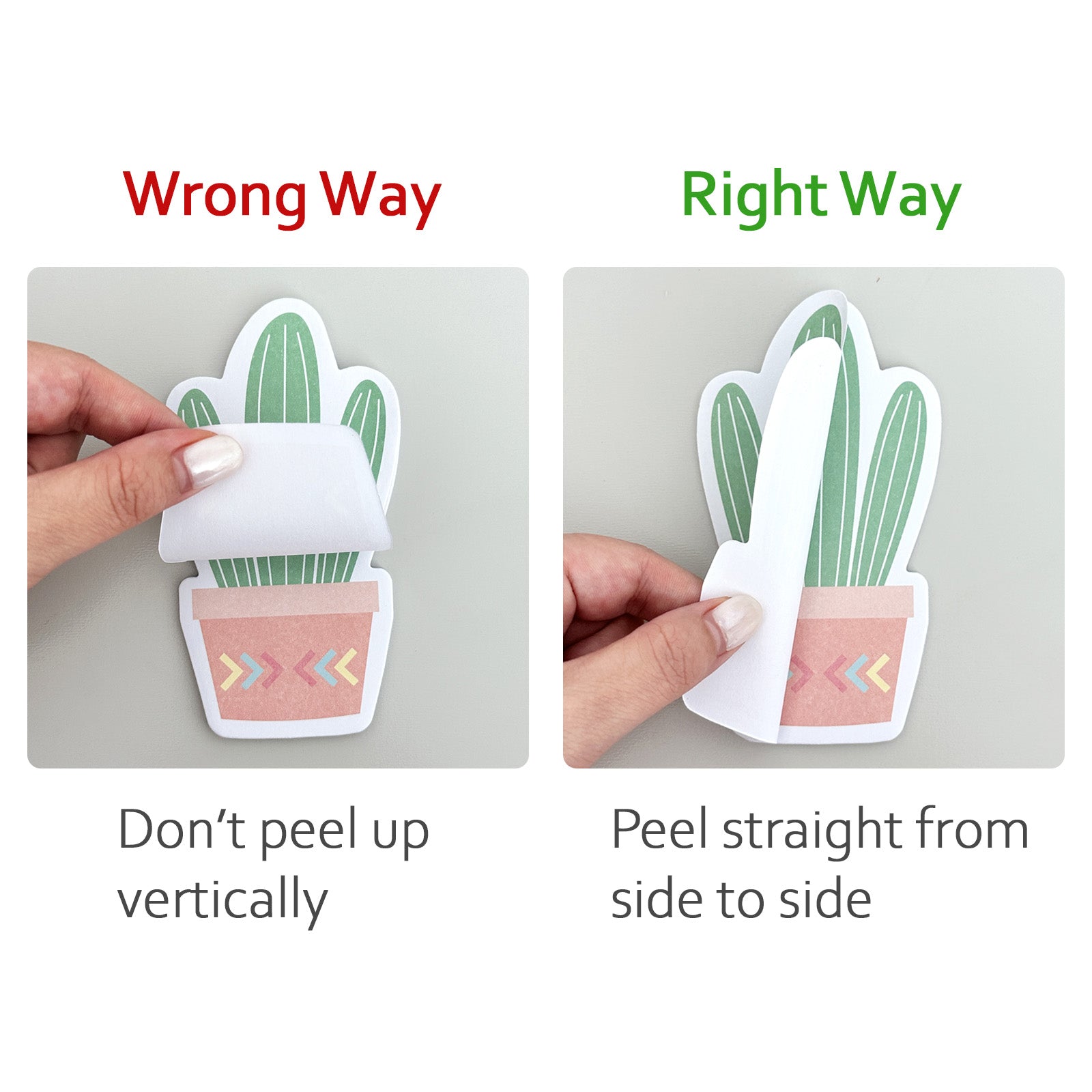 succulent sticky notes Wrapables Cute Cactus Succulents Sticky Notes, Adhesive Memo Notepads