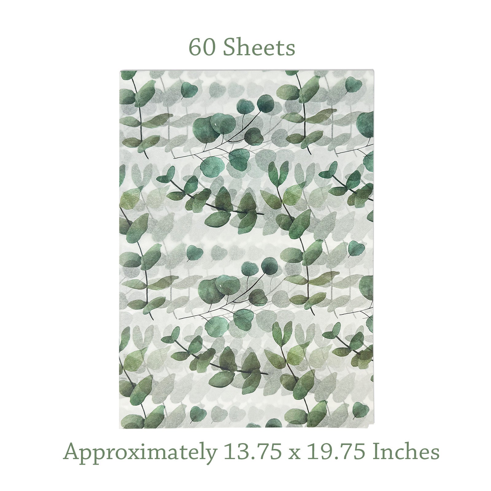 Wrapables 60 Sheets Eucalyptus Tissue Paper 13.75 x 19.75